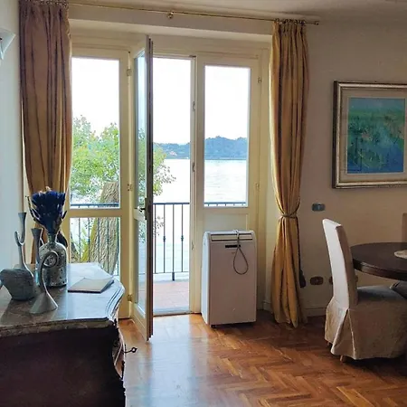 Scarlet Flower - Maggiore Daire *