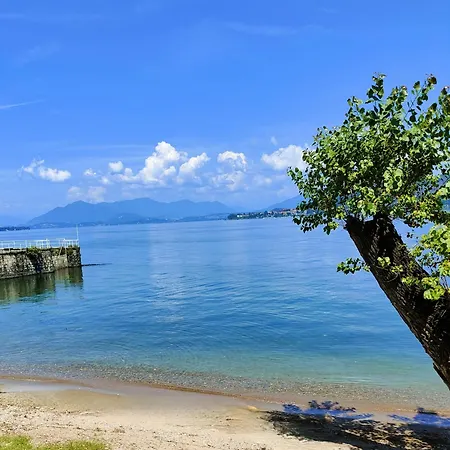 Daire Scarlet Flower - Maggiore *