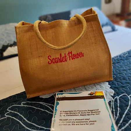 Scarlet Flower - Maggiore Apartment Meina