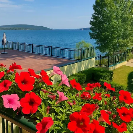 Scarlet Flower - Maggiore